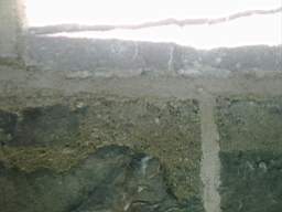 millstreet 11390.jpg